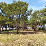 Sanvitotour - Gelsomino شقة سان فيتو لو كابو
