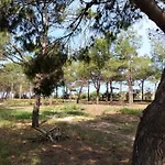 شقة Sanvitotour - Gelsomino سان فيتو لو كابو