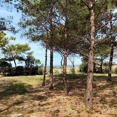 Sanvitotour - Gelsomino Apartamento *