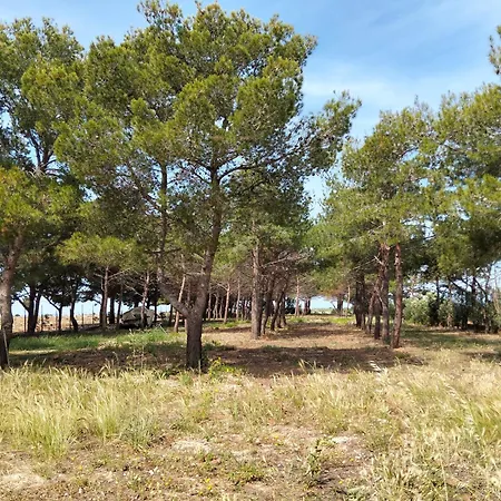 Sanvitotour - Gelsomino Apartamento San Vito Lo Capo